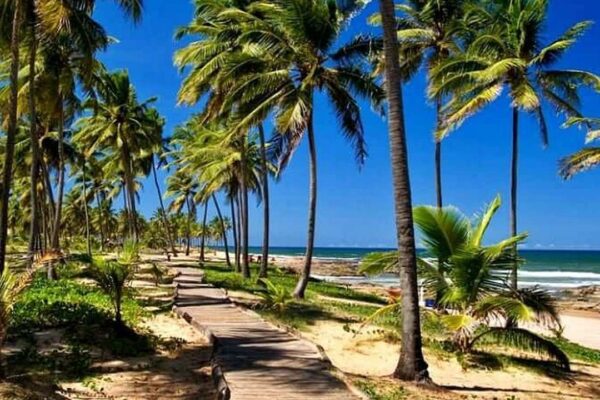 Praia do Flamengo no Rio de Janeiro com coqueiros e calçada de madeira