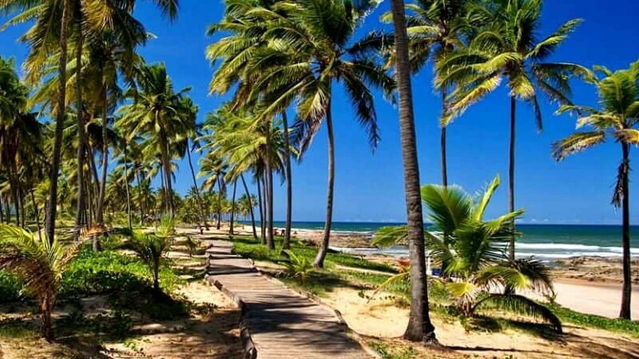 Praia do Flamengo no Rio de Janeiro com coqueiros e calçada de madeira