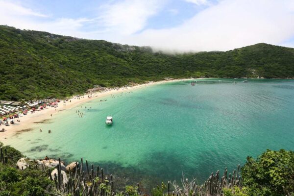 Praia paradisíaca com águas cristalinas e vegetação exuberante, em um dia ensolarado.