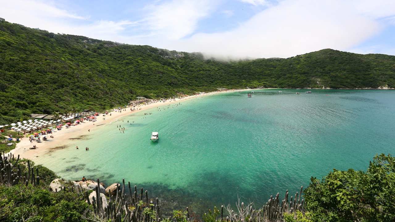 Praia paradisíaca com águas cristalinas e vegetação exuberante, em um dia ensolarado.