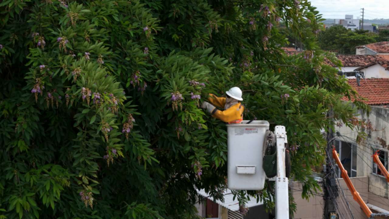 Profissional em cesto de elevação podando galhos próximos a rede elétrica em Nova Friburgo