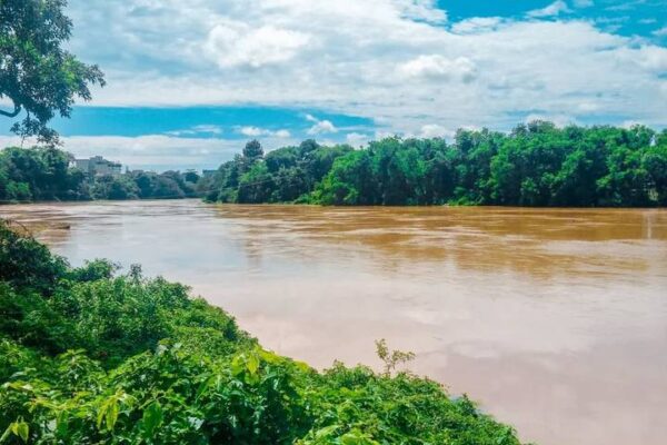 Rio com água barrenta e vegetação exuberante, em cenário de potencial crise hídrica.