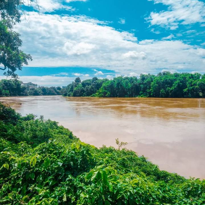 Rio com água barrenta e vegetação exuberante, em cenário de potencial crise hídrica.