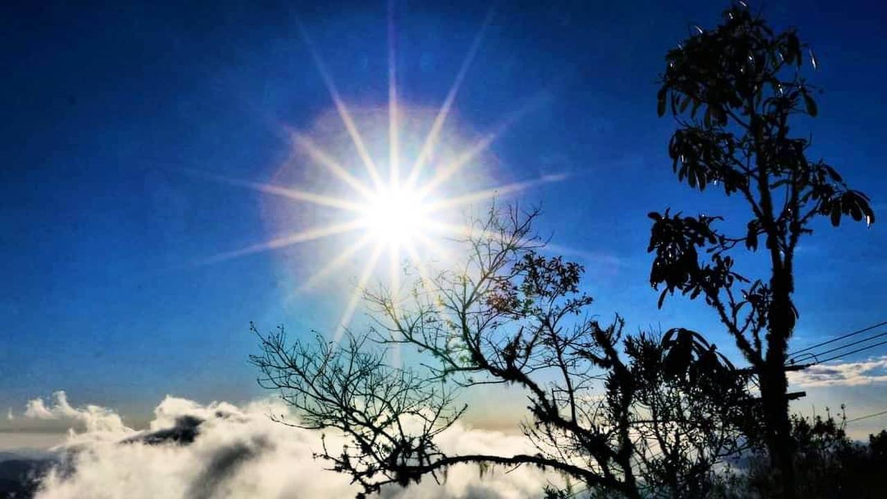 Sol brilhante no céu azul com árvores e nuvens, Pico da Caledônia.