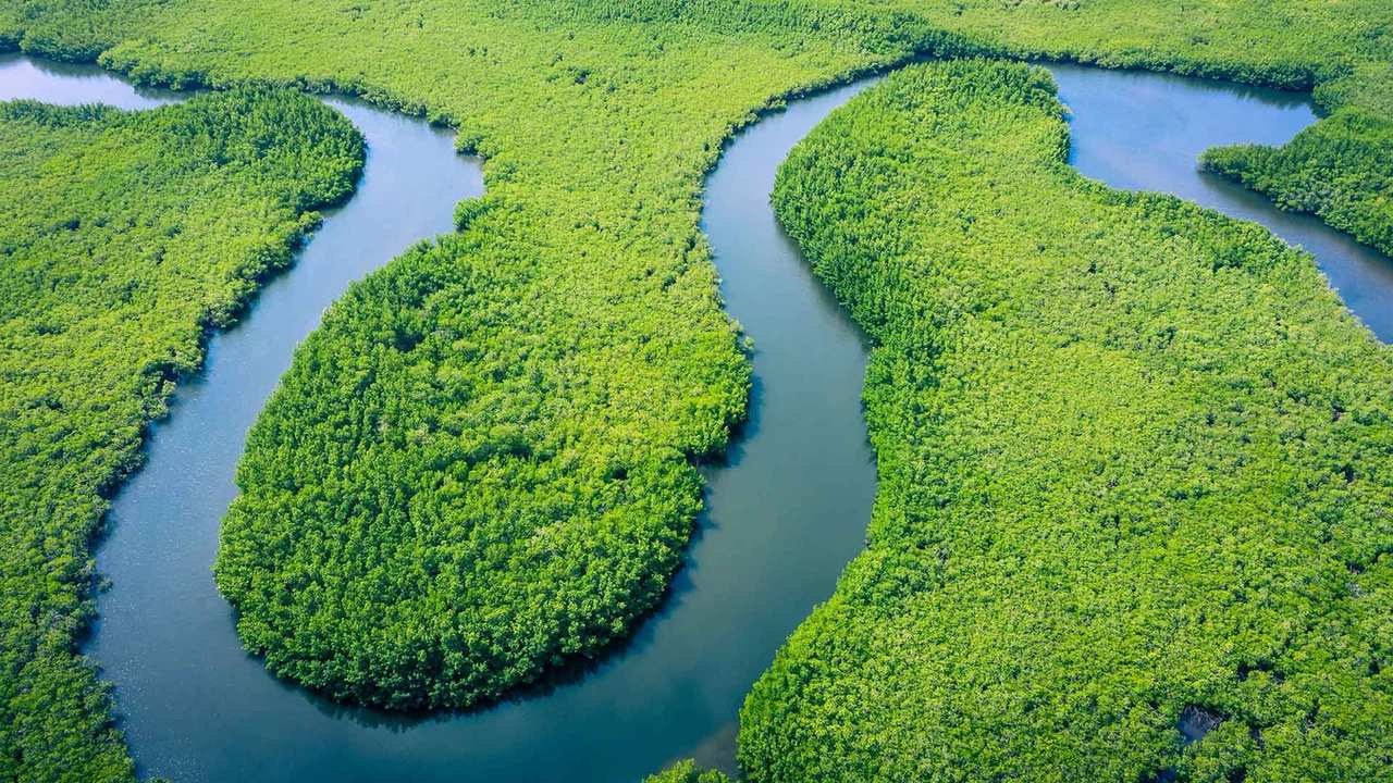 Vista aérea da floresta amazônica com rios serpenteando em Nova Friburgo, Brasil.