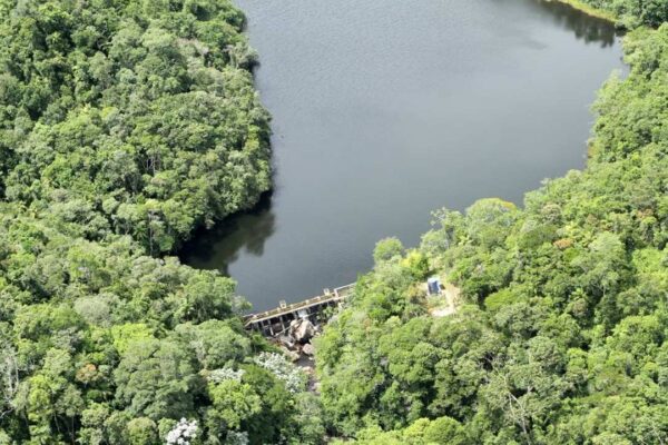 Vista aérea de lago e mata nativa, com uma represa.