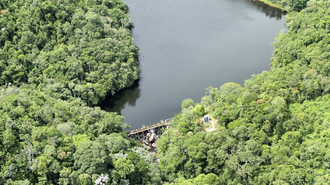 Vista aérea de lago e mata nativa, com uma represa.