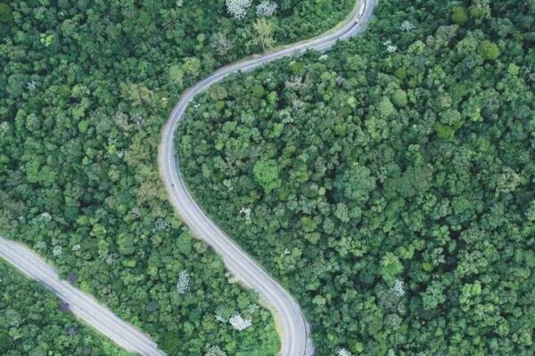 Vista aérea de uma estrada sinuosa que corta uma floresta verdejante na Serra de Cachoeiras de Macacu, ligando Nova Friburgo.