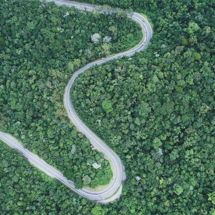 Vista aérea de uma estrada sinuosa que corta uma floresta verdejante na Serra de Cachoeiras de Macacu, ligando Nova Friburgo.