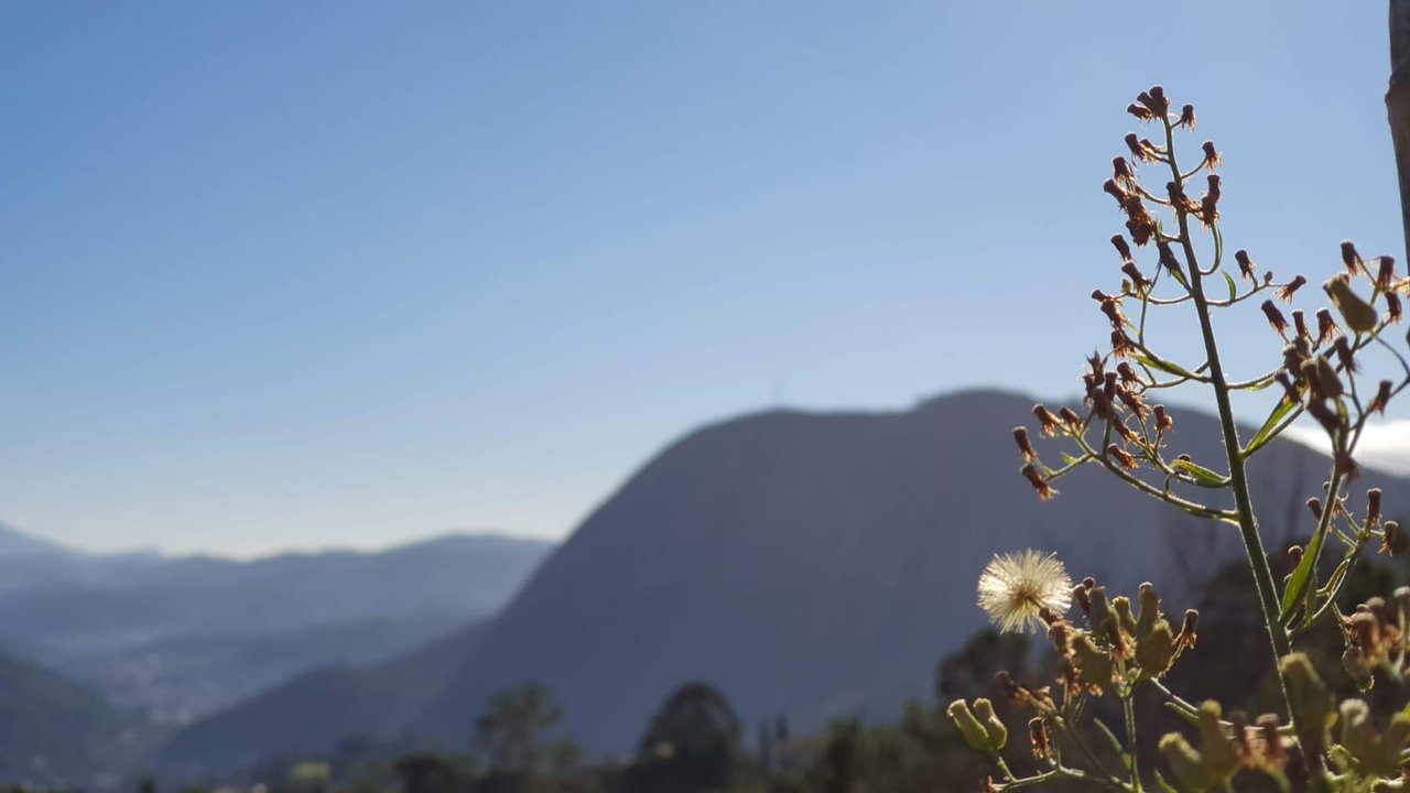 Vista da Pedra do Imperador em Nova Friburgo com vegetação em primeiro plano e montanhas ao fundo.