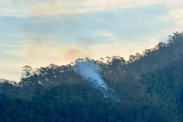 Fumaça de incêndio sobe em área de mata no Vale dos Pinheiros, em Nova Friburgo