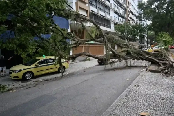 Árvore caída em uma rua após a forte ventania que atingiu o Estado do Rio.