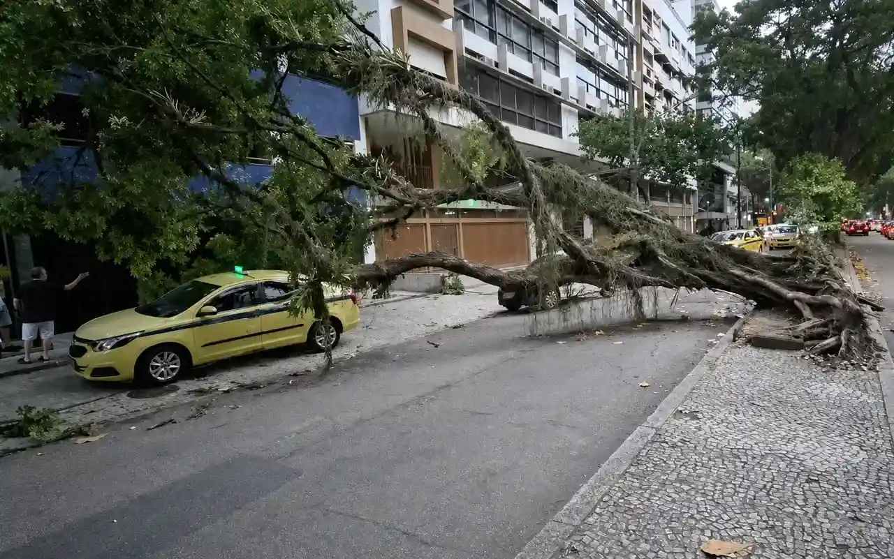 Árvore caída em uma rua após a forte ventania que atingiu o Estado do Rio.