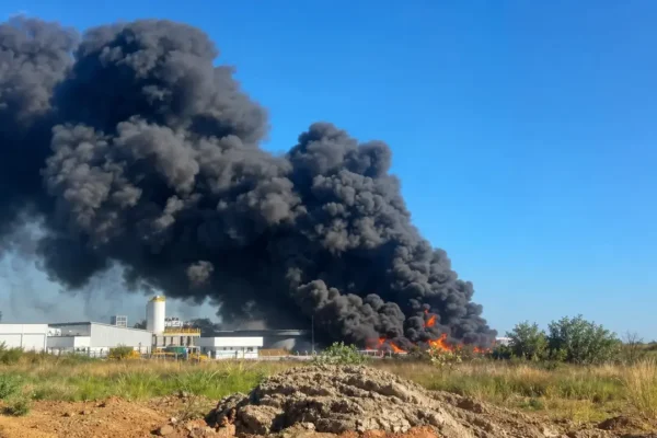 Incêndio próximo à Via Dutra em Seropédica
