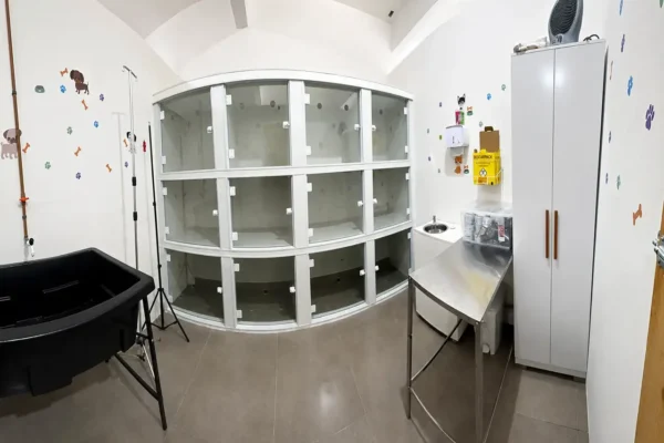 Internação para pets não convencionais na Clínica SOS Vida Animal em Nova Friburgo