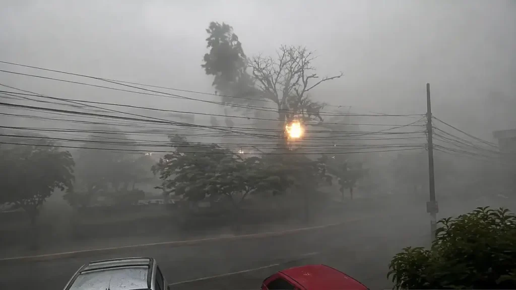 Árvores atingidas por fortes rajadas durante temporal com baixa visibilidade em Macuco