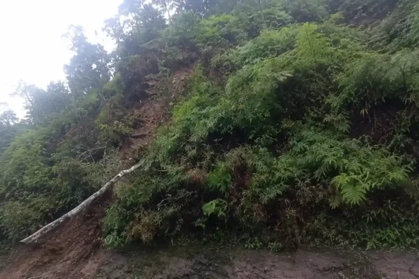 Deslizamento atinge a RJ-116 e exige atenção redobrada de motoristas na Serra de Cachoeiras de Macacu