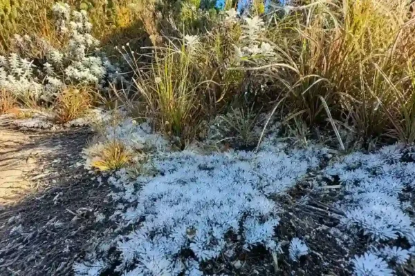 Ranking das menores temperaturas do Estado do Rio, com Itatiaia, Nova Friburgo e Resende.
