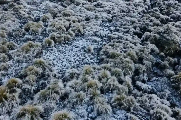 Geada transforma o Parque Nacional do Itatiaia em cenário congelado no Estado do Rio