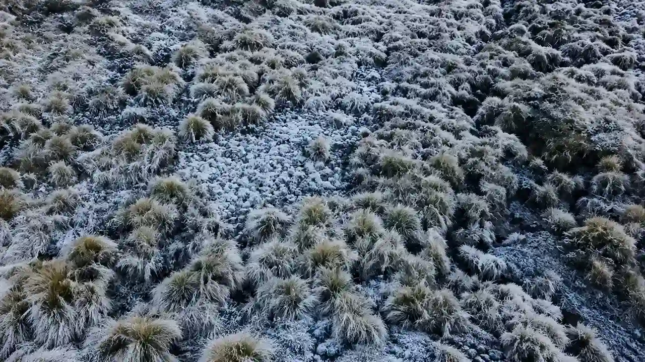 Geada transforma o Parque Nacional do Itatiaia em cenário congelado no Estado do Rio