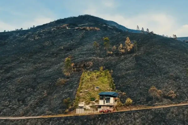 Área destruída pelo incêndio no Pico da Caledônia, em Nova Friburgo