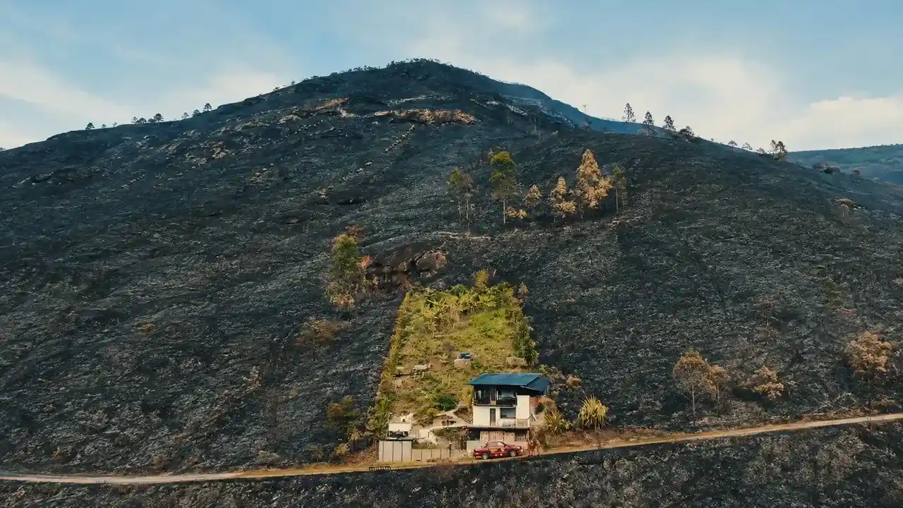 Área destruída pelo incêndio no Pico da Caledônia, em Nova Friburgo