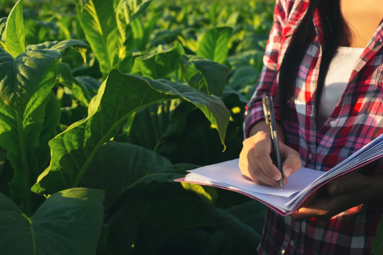 Técnica realiza anotações durante vistoria em área de cultivo, representando processos de licenciamento e fiscalização ambiental.