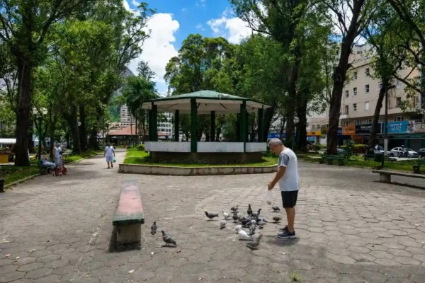 Pombos reunidos sobre telhado e área urbana de Nova Friburgo, em imagem que representa debate sobre controle sanitário e manejo humanizado.