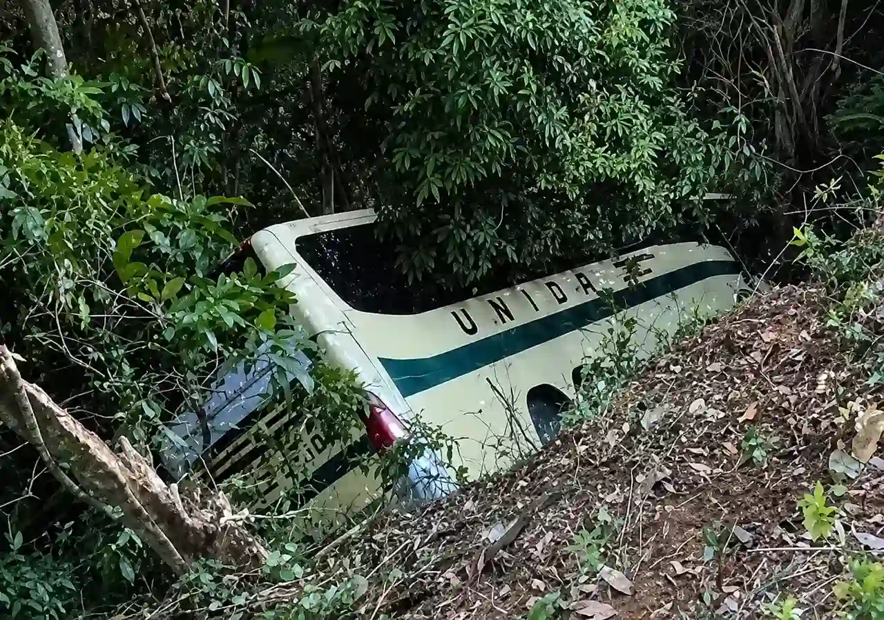 Ônibus sai da pista e despenca em ribanceira na descida da Serra de Petrópolis