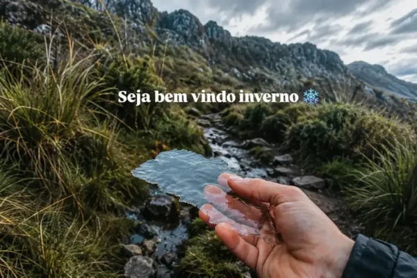 Vegetação coberta por gelo no Parque Nacional do Itatiaia durante a primeira geada do inverno de 2026.