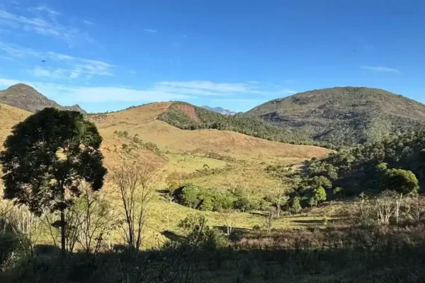 Área degradada às margens de córrego que abastece Nova Friburgo ganha nova floresta