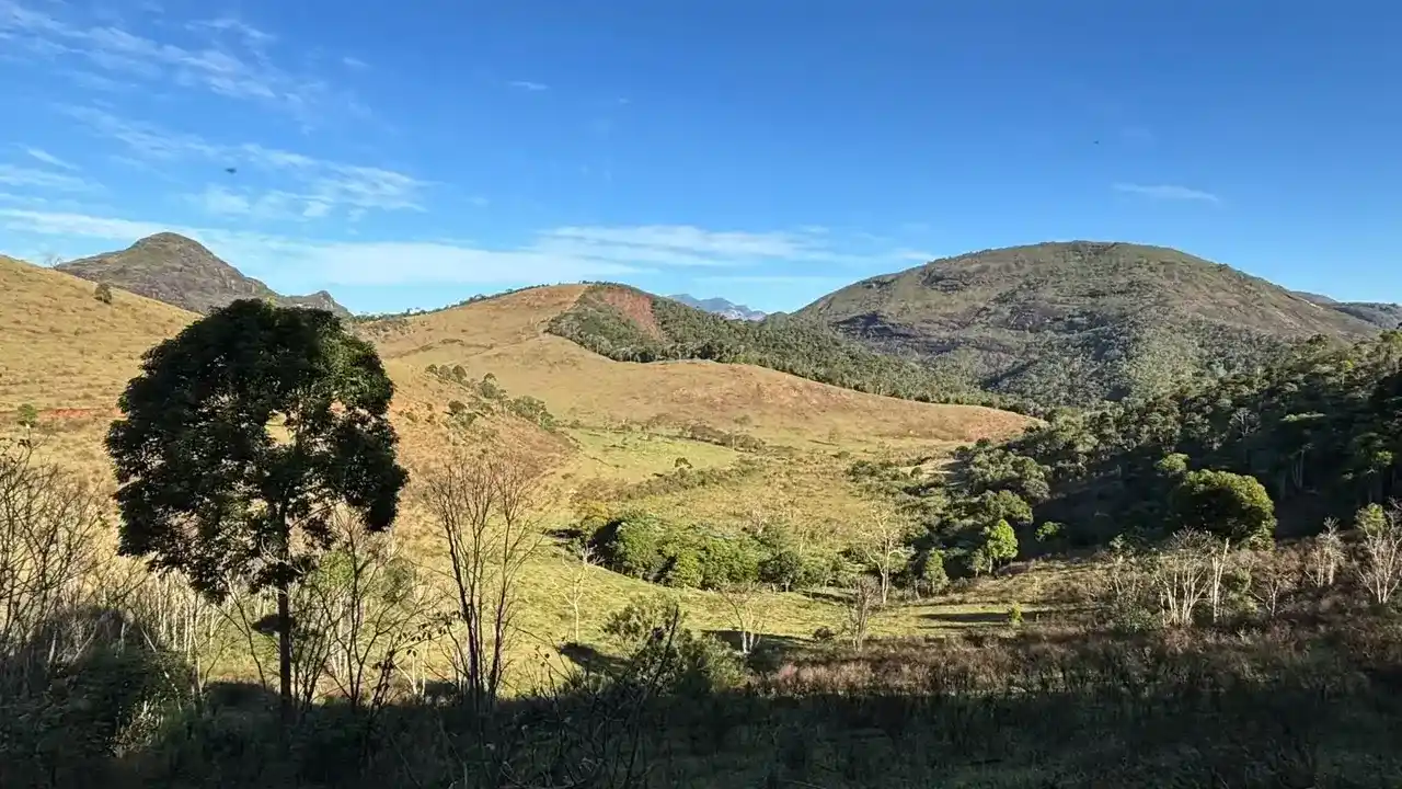 Área degradada às margens de córrego que abastece Nova Friburgo ganha nova floresta