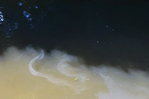 Líquido de aparência esbranquiçada sendo despejado no Rio Bengalas, em Nova Friburgo.