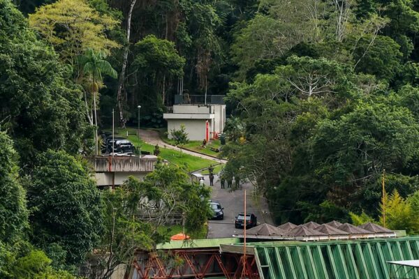 Área de mata com edifícios e veículos, possivelmente relacionada a relatos de disparos na manhã de sábado.