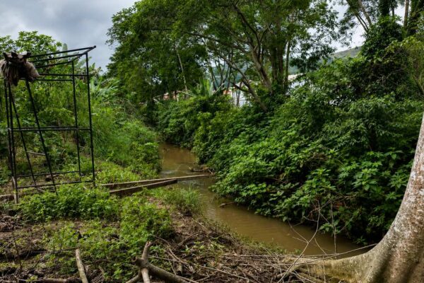Área verde com córrego e sinais de intervenção ambiental.