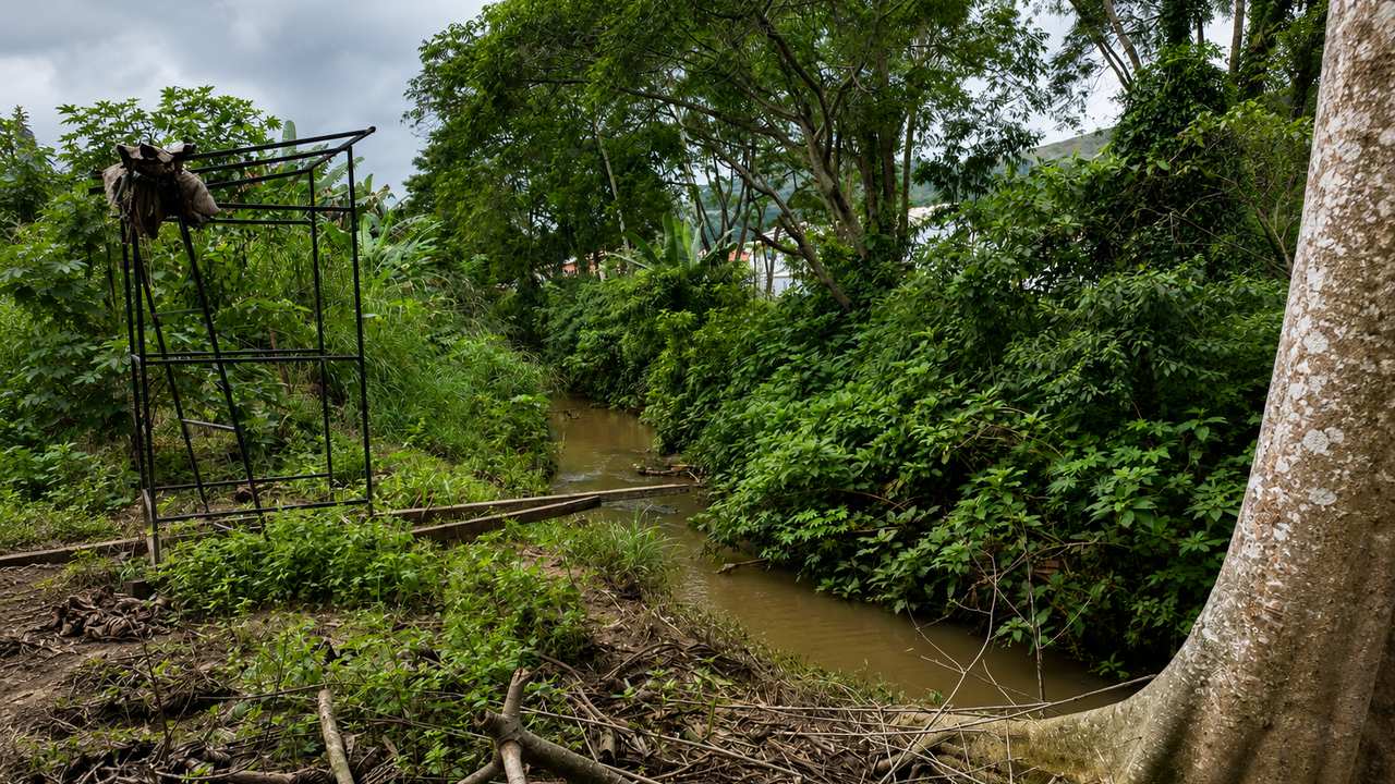 Área verde com córrego e sinais de intervenção ambiental.