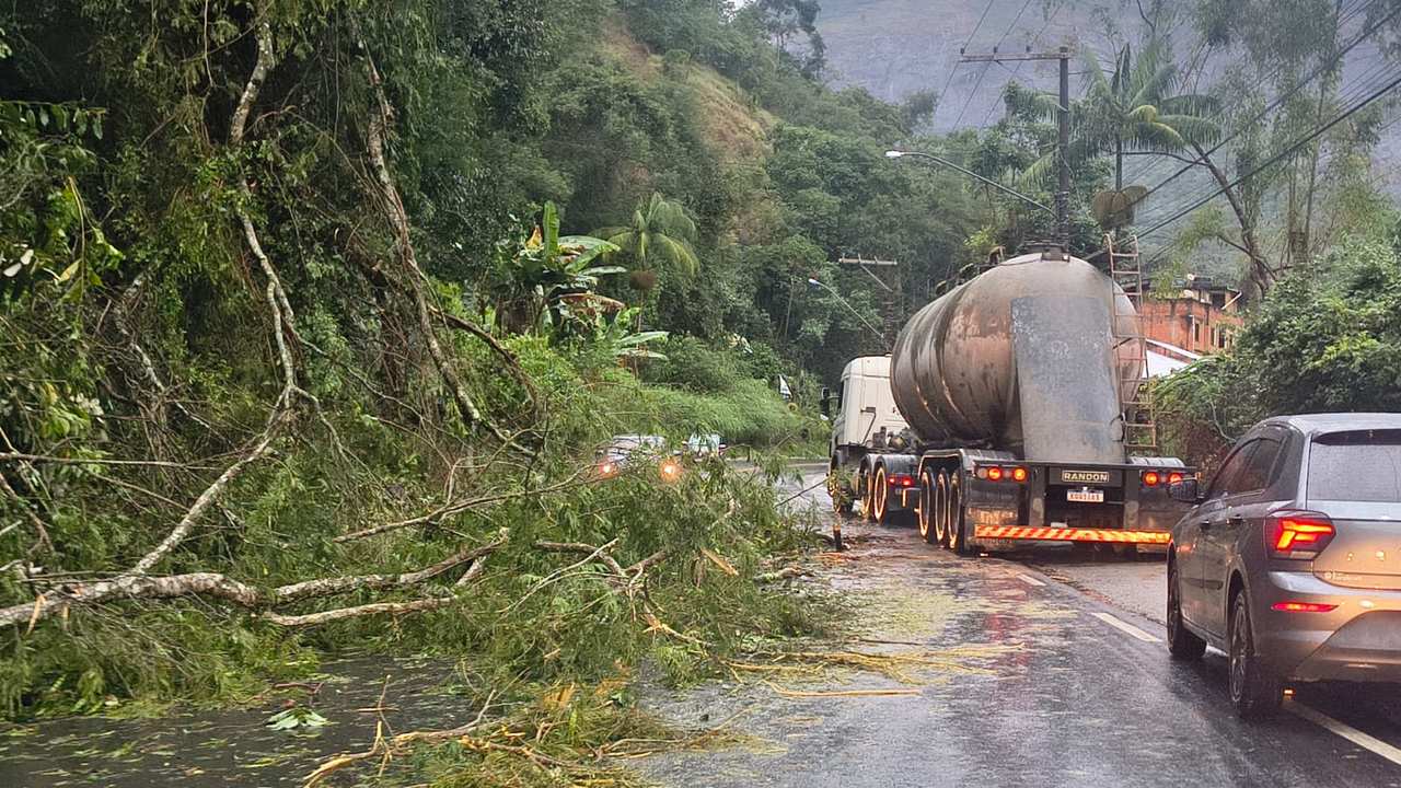 Árvore caída bloqueia estrada em Nova Friburgo após forte chuva.
