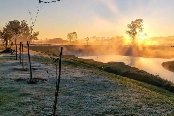 Cenário de geada e amanhecer frio no Rio de Janeiro, com árvores e rio.