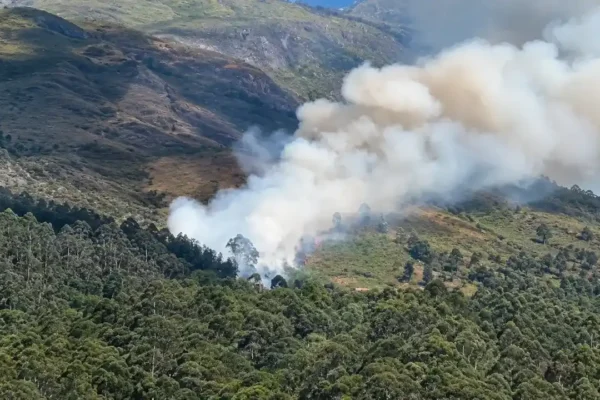 Chamas avançam pela vegetação da Montanha do Caledônia, em Nova Friburgo
