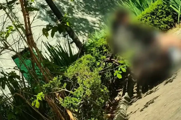 Guarda Municipal atende ocorrência envolvendo adolescente na região do Paissandu, em Nova Friburgo