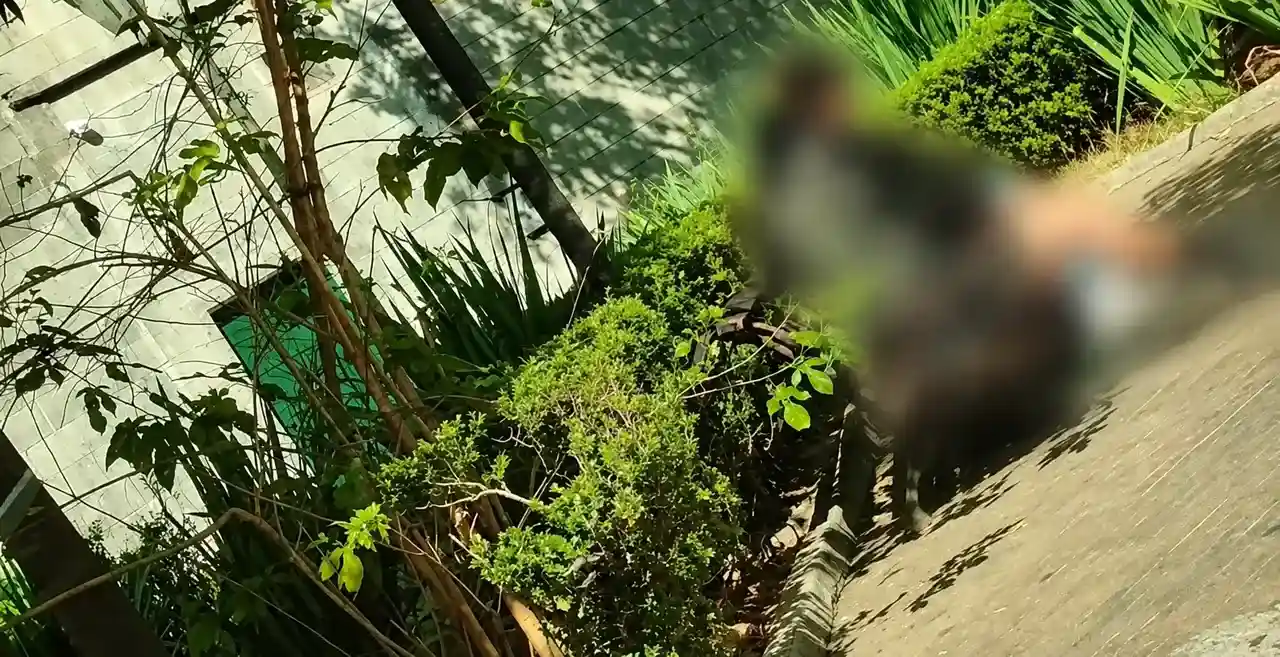 Guarda Municipal atende ocorrência envolvendo adolescente na região do Paissandu, em Nova Friburgo