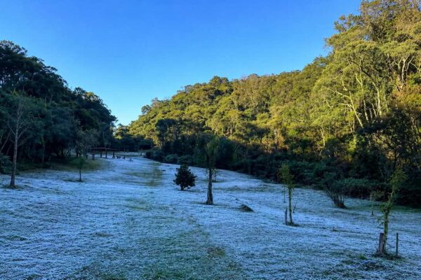 Geada cobre gramado e estruturas de madeira na região dos Três Picos, em Nova Friburgo, após madrugada de frio intenso.