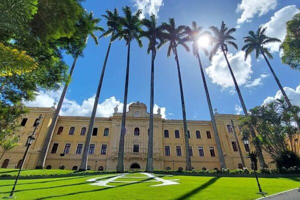 Fachada de prédio histórico com palmeiras e gramado ensolarado.