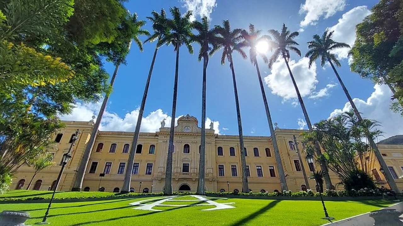 Fachada de prédio histórico com palmeiras e gramado ensolarado.