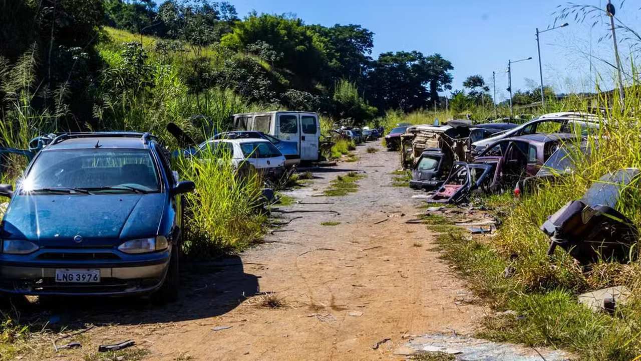Ferro-velho clandestino com carcaças de carros em terreno descampado.