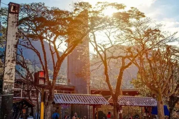 Foto de Nova Friburgo com árvores, construções e céu ensolarado. Possível impacto de novas leis.