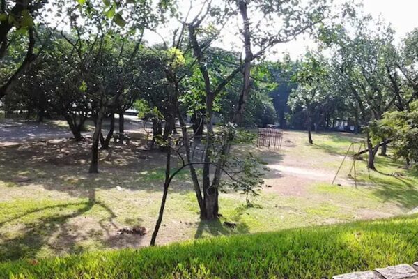 Parque Ary Barroso na Penha, Rio de Janeiro, com árvores e gramado.