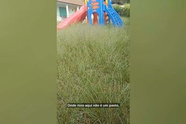 Playground em escola municipal com gramado alto e sem uso devido a problema não solucionado.