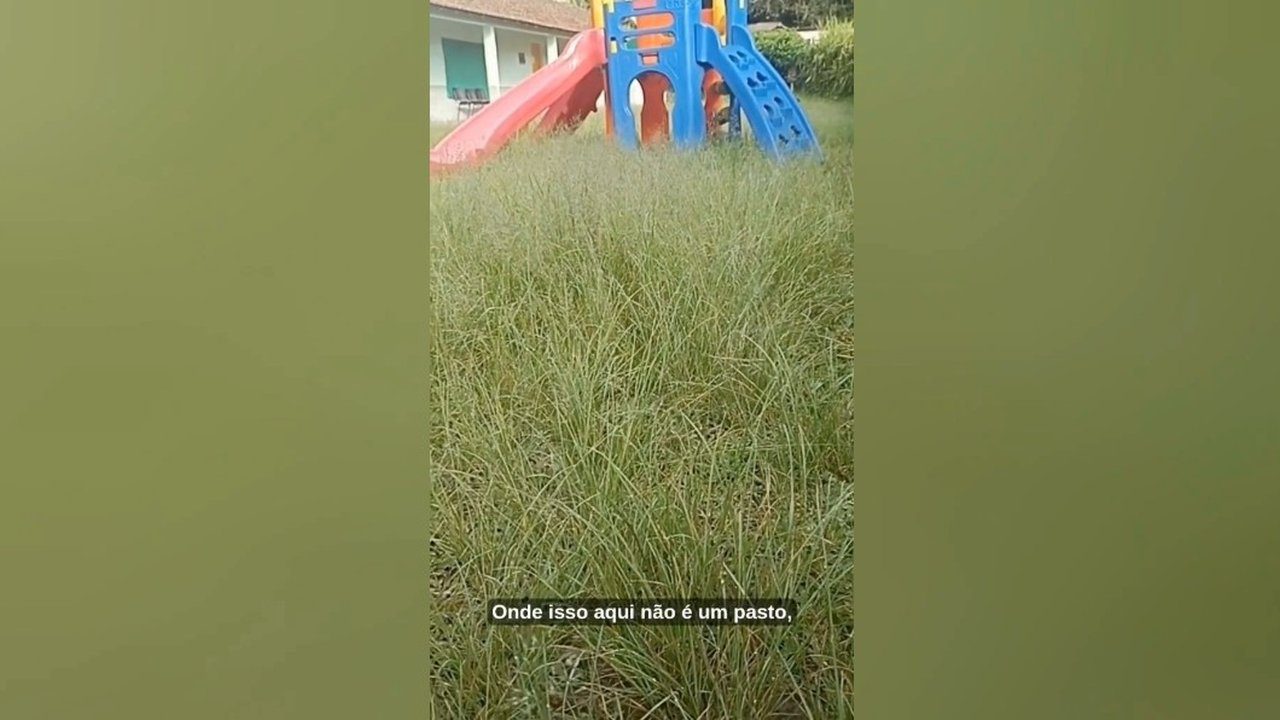 Playground em escola municipal com gramado alto e sem uso devido a problema não solucionado.