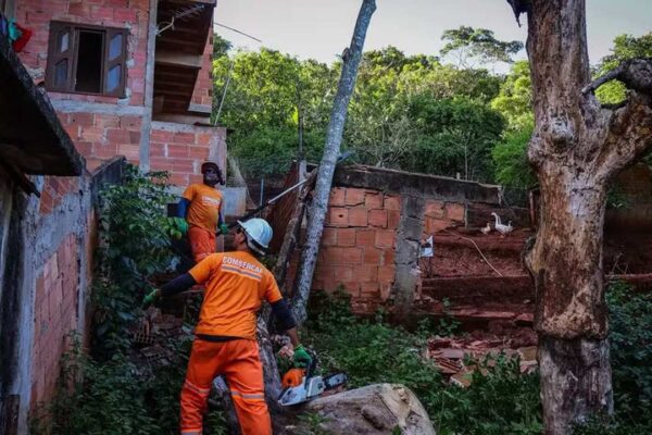 Profissionais cortando árvore após deslizamento de terra em Cabo Frio